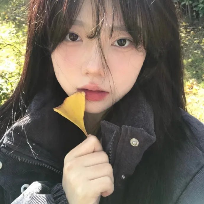 伍六七之记忆碎片